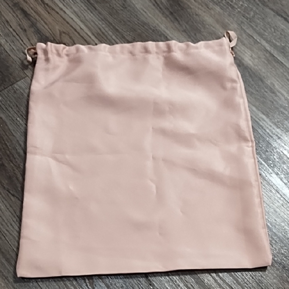 Stuart Weitzman Blush Pink Pouch - Picture 5 of 5